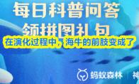 在演化过程中，海牛的前肢变成了