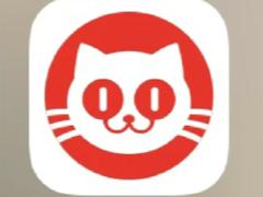 猫眼抢演唱会门票攻略 猫眼抢演唱会门票用什么支付