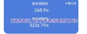 湖南智慧人社如何查询社保缴纳年限
