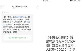 苏宁金融贷款怎么协商还款