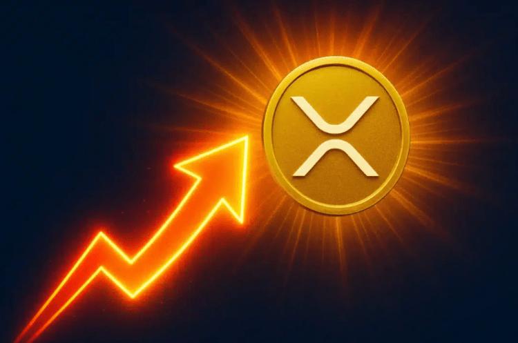 XRP 恐慌指数飙升至 6 个月高点，这可能引发其下一次突破