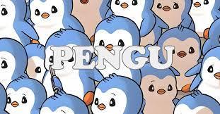 pengu币是否能起飞