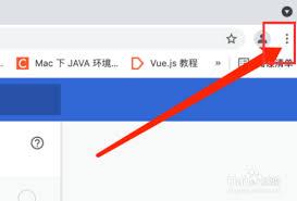 谷歌浏览器如何开启同步功能