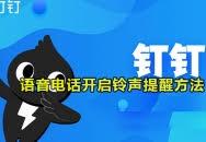 如何开启钉钉语音电话铃声提醒
