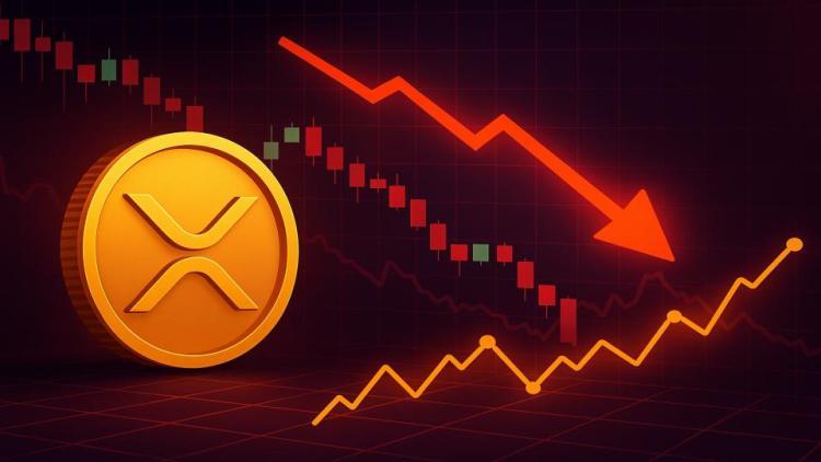 XRP DEX 交易量随价格暴跌而激增：聪明钱正在积累？