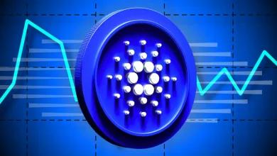 Cardano 价格预测（2025 年 11 月）：巨鲸吸筹预示价格将反弹至 1 美元