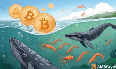 比特币价格从 450 BTC 跌至 92 BTC：分析比特币零售流入量的最大跌幅