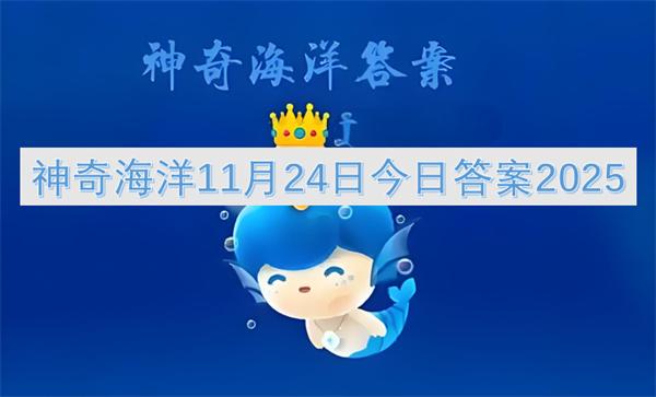 神奇海洋11月24日今日答案2025