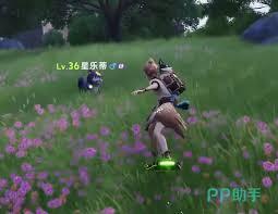 伊莫小炭犬是什么