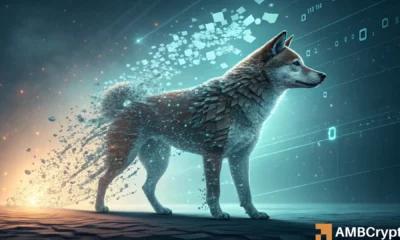 尽管狗狗币 (DOGE) 暴跌 49%，但为何仍显示出早期复苏迹象