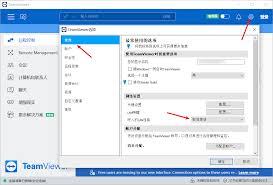 如何配置TeamViewer服务器
