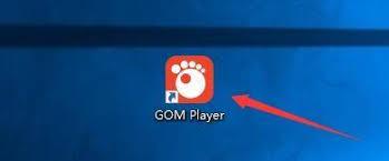 GOMPlayer怎样使用硬件加速功能