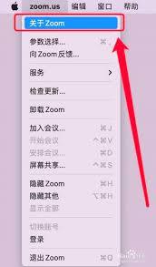 zoom如何查看版本号