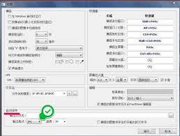 faststone capture如何设置dpi