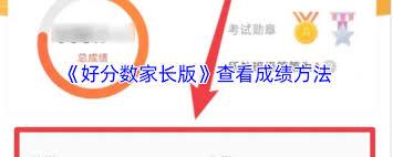 如何用好分数查成绩