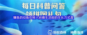 镰鱼的幼鱼在转入岩礁生活前如何生长