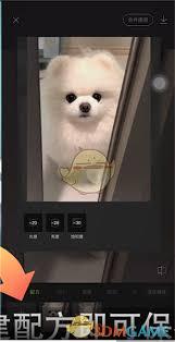 醒图如何保存模板