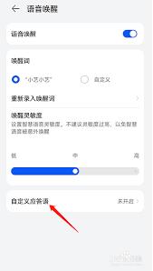 华为智慧语音如何设置固定回答