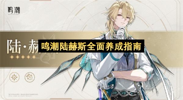 鸣潮陆赫斯全面养成指南