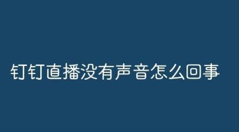 钉钉直播没有声音怎么办 钉钉直播没有声音解决方法