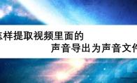 EDIUS怎么提取视频中的声音