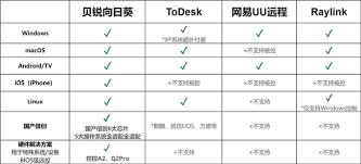 RayLink怎么设置会话水印