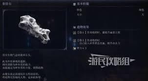 艾尔登法环黑夜君临隐士遗物该用什么