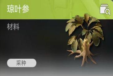 明日方舟终末地武陵琼叶参点位在哪 武陵琼叶参采集点一览