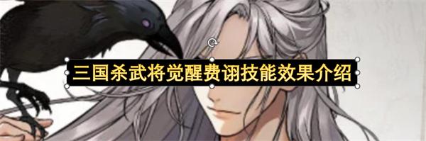 三国杀武将觉醒费诩技能效果介绍