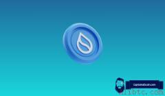 SUI价格预测：Sui能否在下轮牛市中冲击10美元