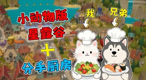 泡泡镇餐厅物语 钓鱼种地冒险开餐厅