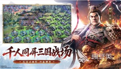 三国志王道天下新手怎么玩