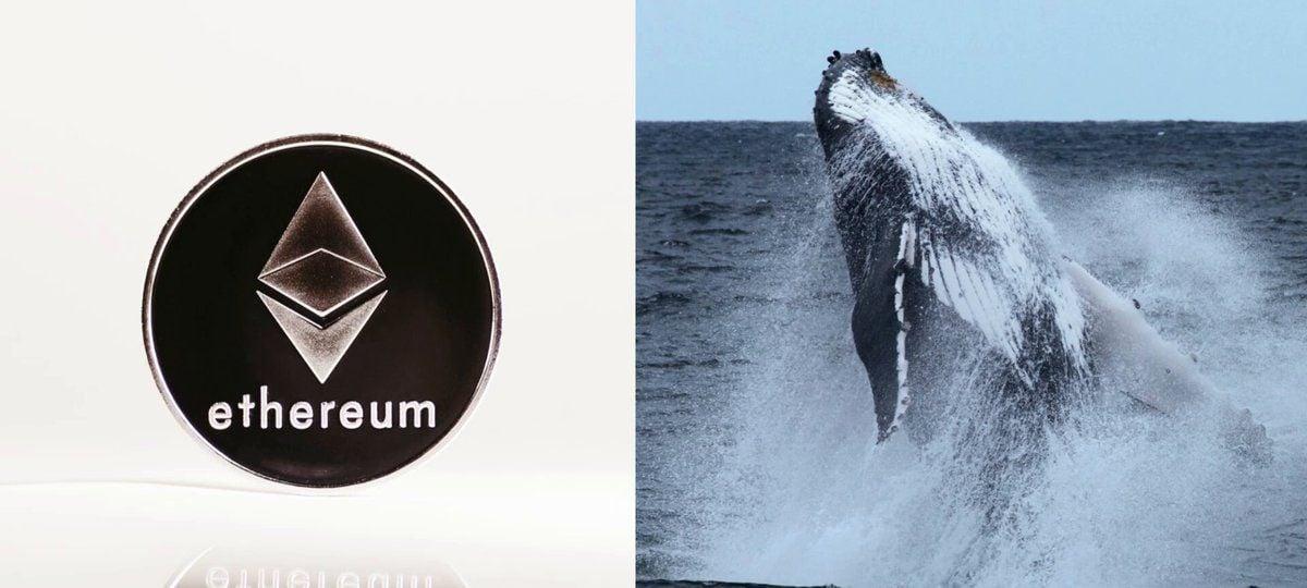 以太坊巨鲸持续豪掷数百万美元购入ETH