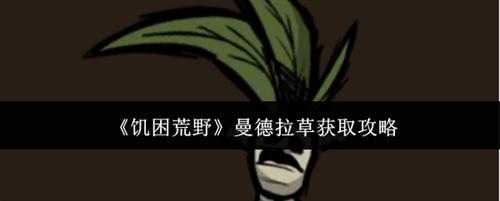 饥困荒野怎么获取曼德拉草 饥困荒野曼德拉草获取攻略